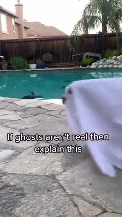 Spooky boi!
