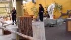 First time I ever hear a wolf howling. Beautiful, but scary!