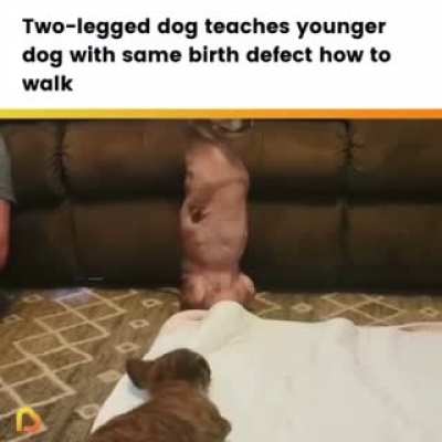 This is so wholesome ?