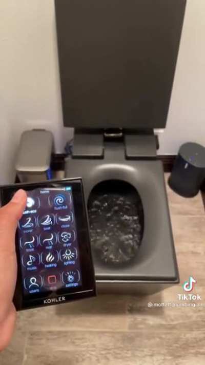 The porcelain throne