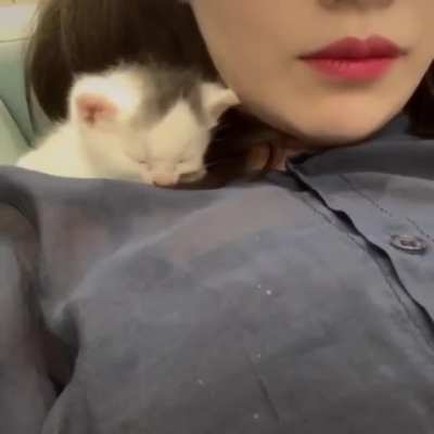 Aww