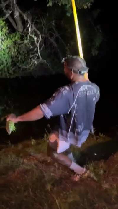 The way this dude plucks and catches iguanas