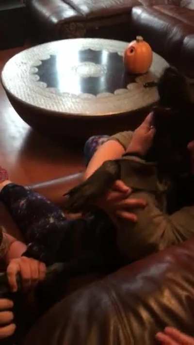 My 7 month old puppy getting her nails trimmed. ??