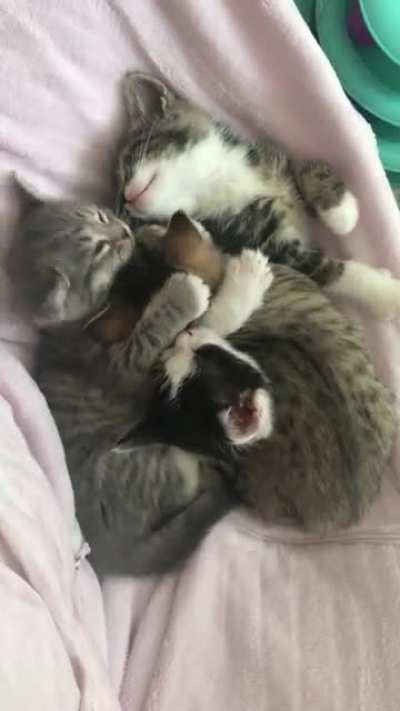 Sleepy babies