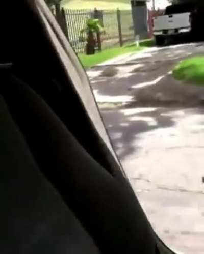 HMC while I take part in the "walk out of your moving car" trend