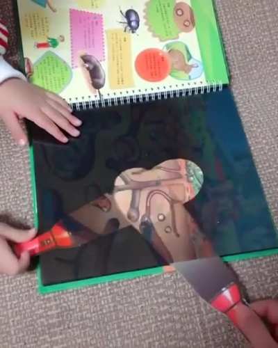 Flashlight illusion within a children’s book ?