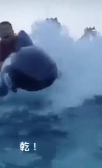 Free Willy