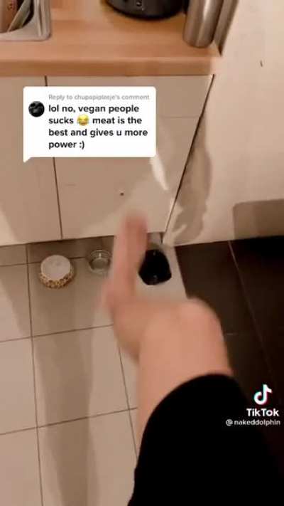 A typical day in the life of a vegan