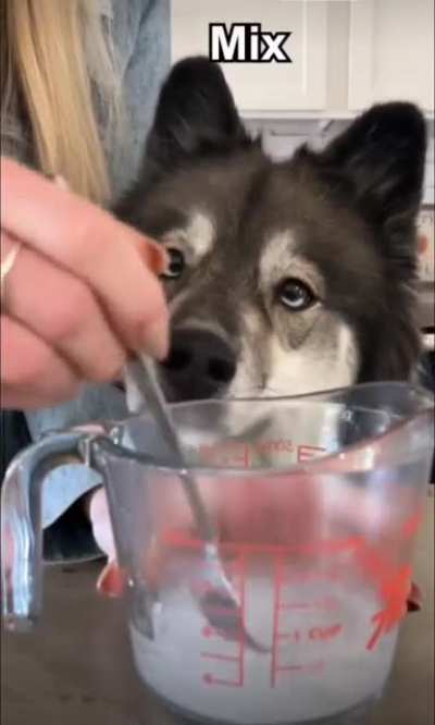 An adorable partnership in baking a delicious doggy pumpkin pie! ??