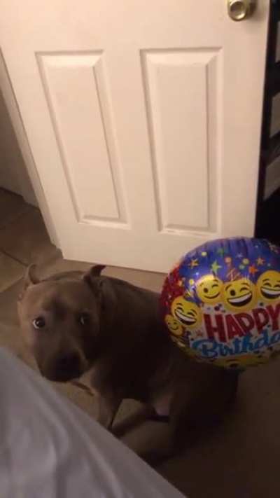 Derpy Daisy.