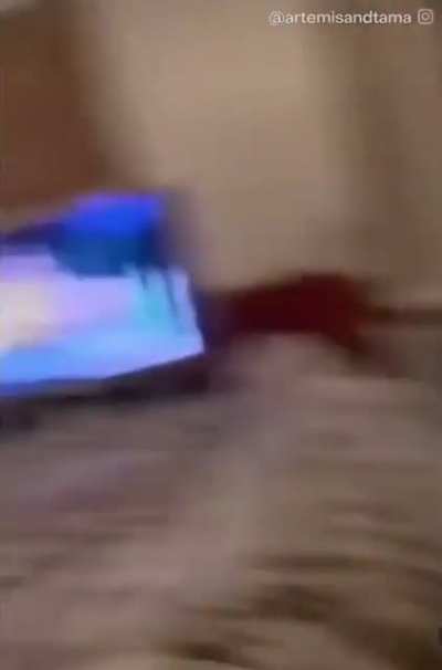 When you say your cat’s favorite word