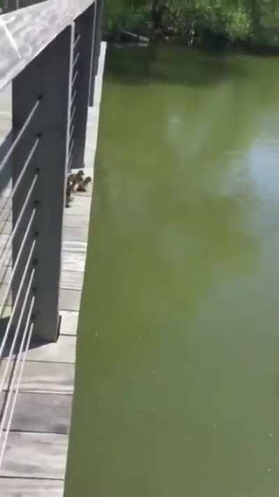 Leap of faith ?