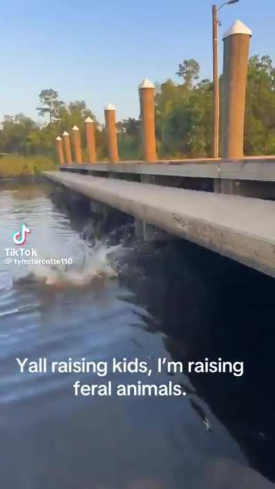 I can't help but laugh every time