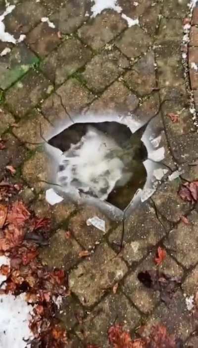 Man must drop ice.