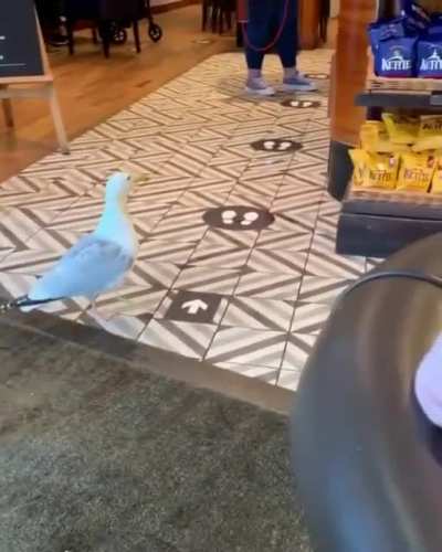 He walked in so casually