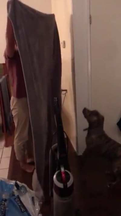 WCGW trying online trends