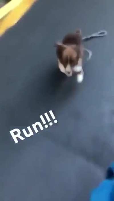 Drop &amp; run