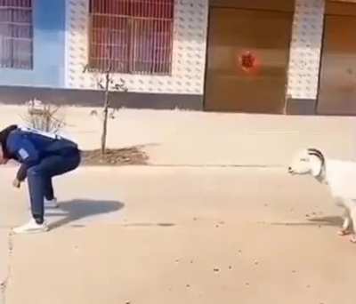 one man one goat