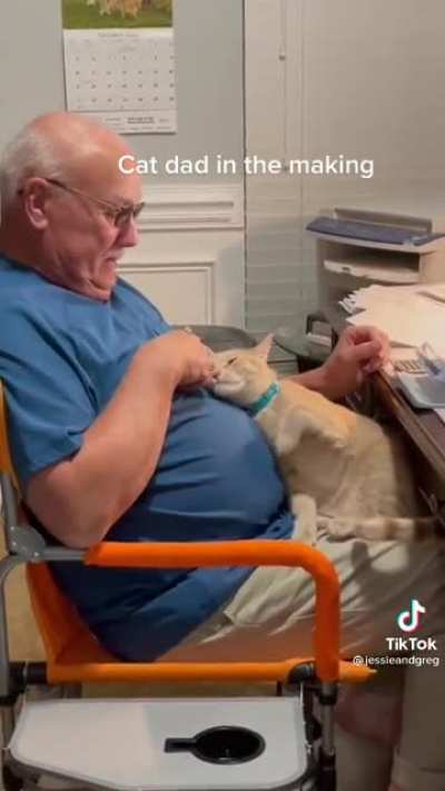 Cat dad training