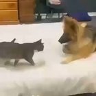 Love me damnit!