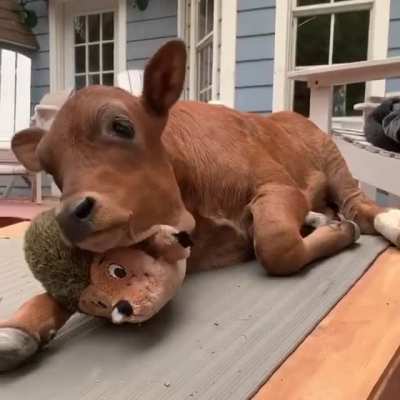 So cute ?