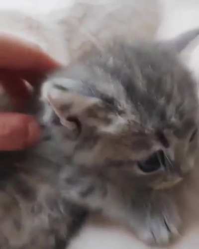 ?