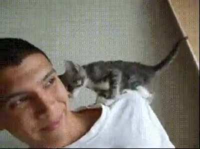 So Sweet Kitty ?