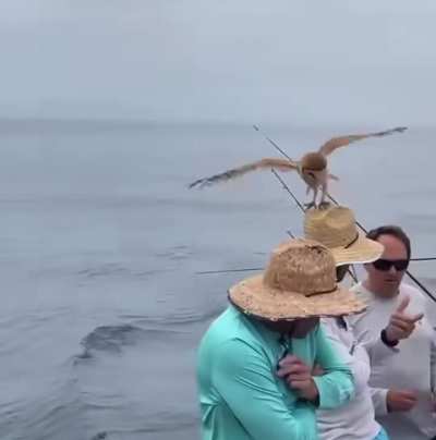 ?Fisherman Gets Accepted Into Hogwarts