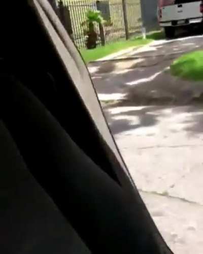 HMC while I take part in the "walk out of your moving car" trend