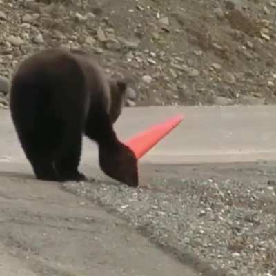 ? Such a considerate bear to want to fix the position of the cone.
