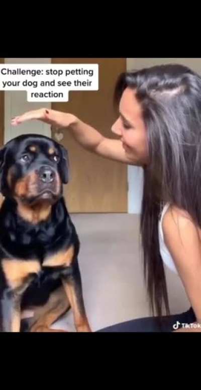 "That's it?"