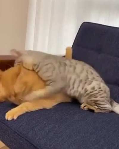 One little bite