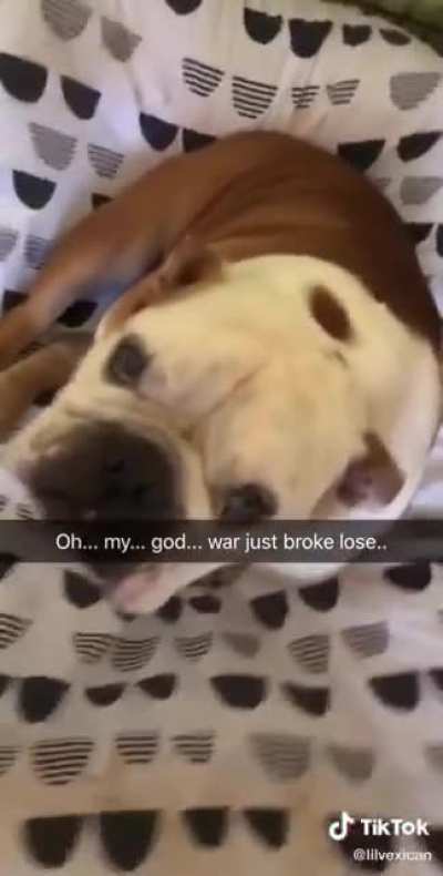 Doge