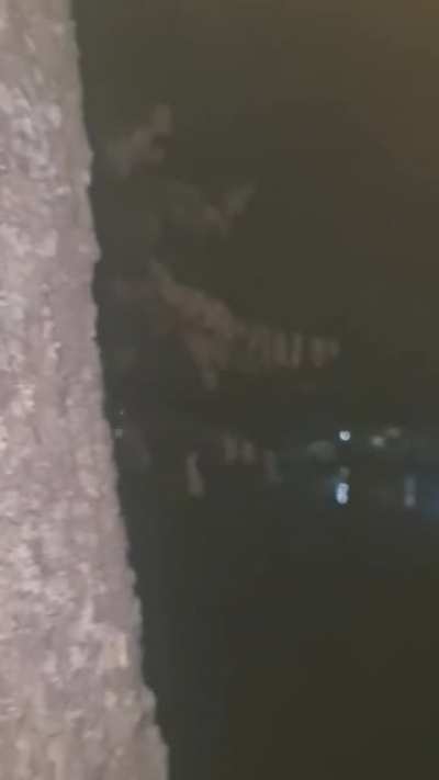 Man cut off the electricity of a whole neighbourhood to stop a party