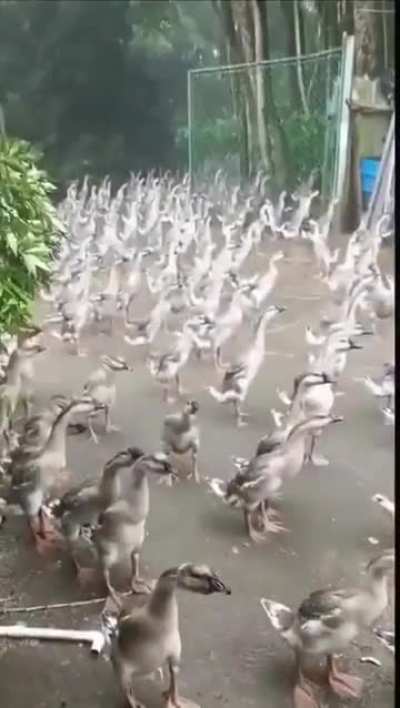 WHAT THE..