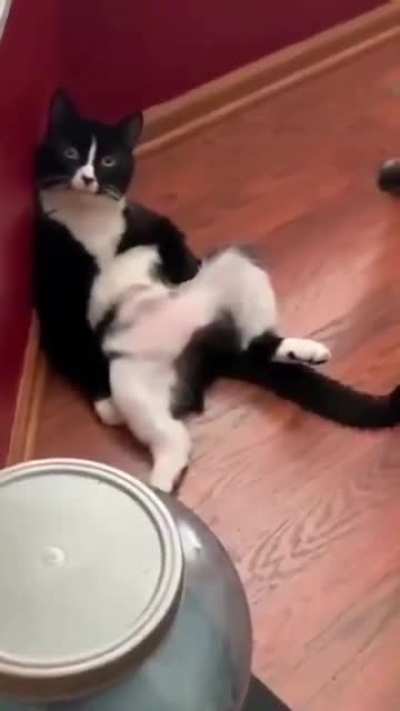 Mood.