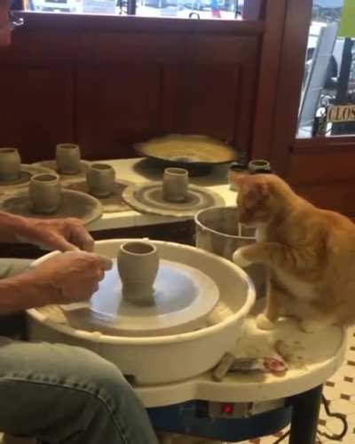 Pawtery