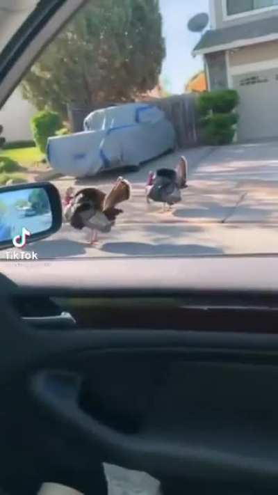?