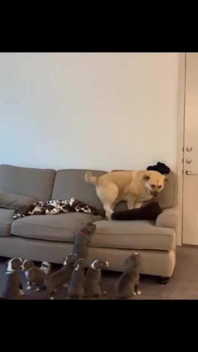 "OK I'm done"