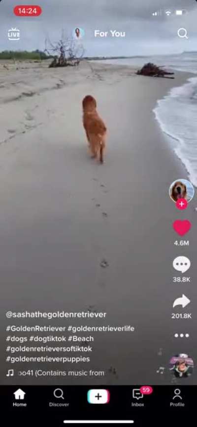 Happy Butt Sashay