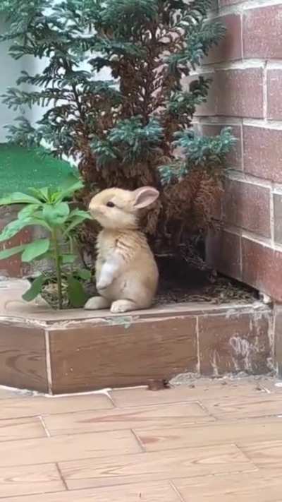 Having a snack.