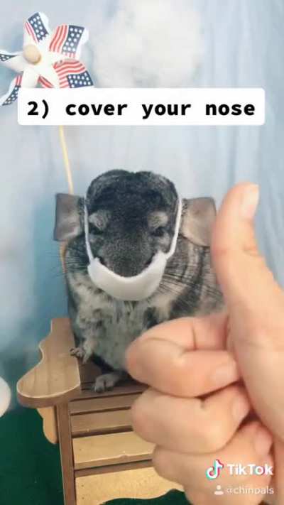 If Henry can wear a mask, so can you ?