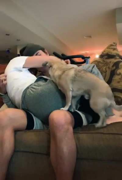 He fits perfectly.