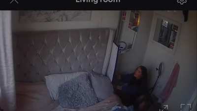 I’m used to the cats behaviour at this point ?
