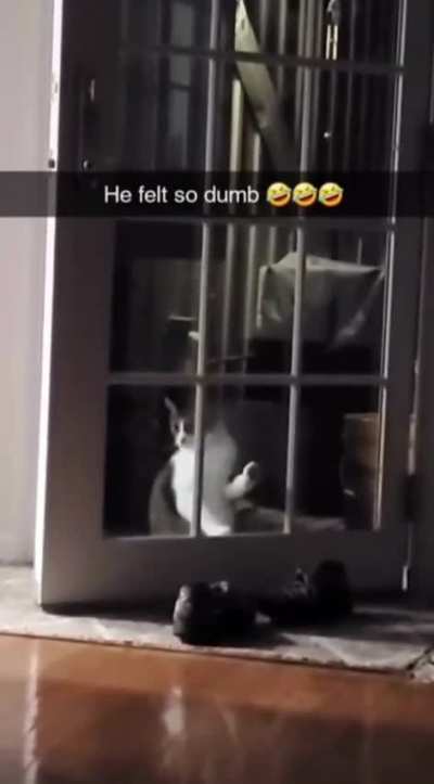 Let me in!! Oh wait . . .