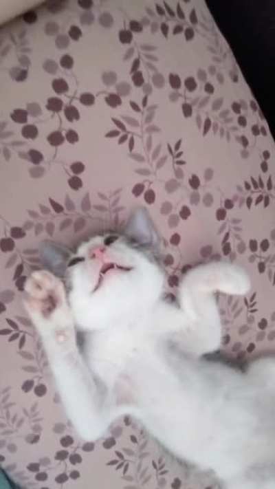 Baby Hughie squeaks