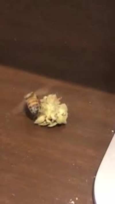 Frank, Ill have to meet you back at the Hive