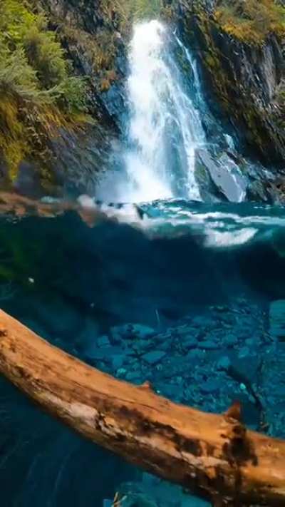 The clarity of water in this Alaskan river.