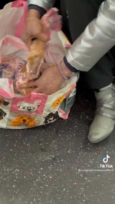 Just why ?