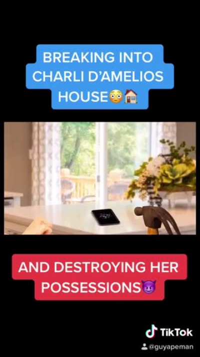 This got banned on TikTok for “bullying and harassment.” I worked so hard on it?